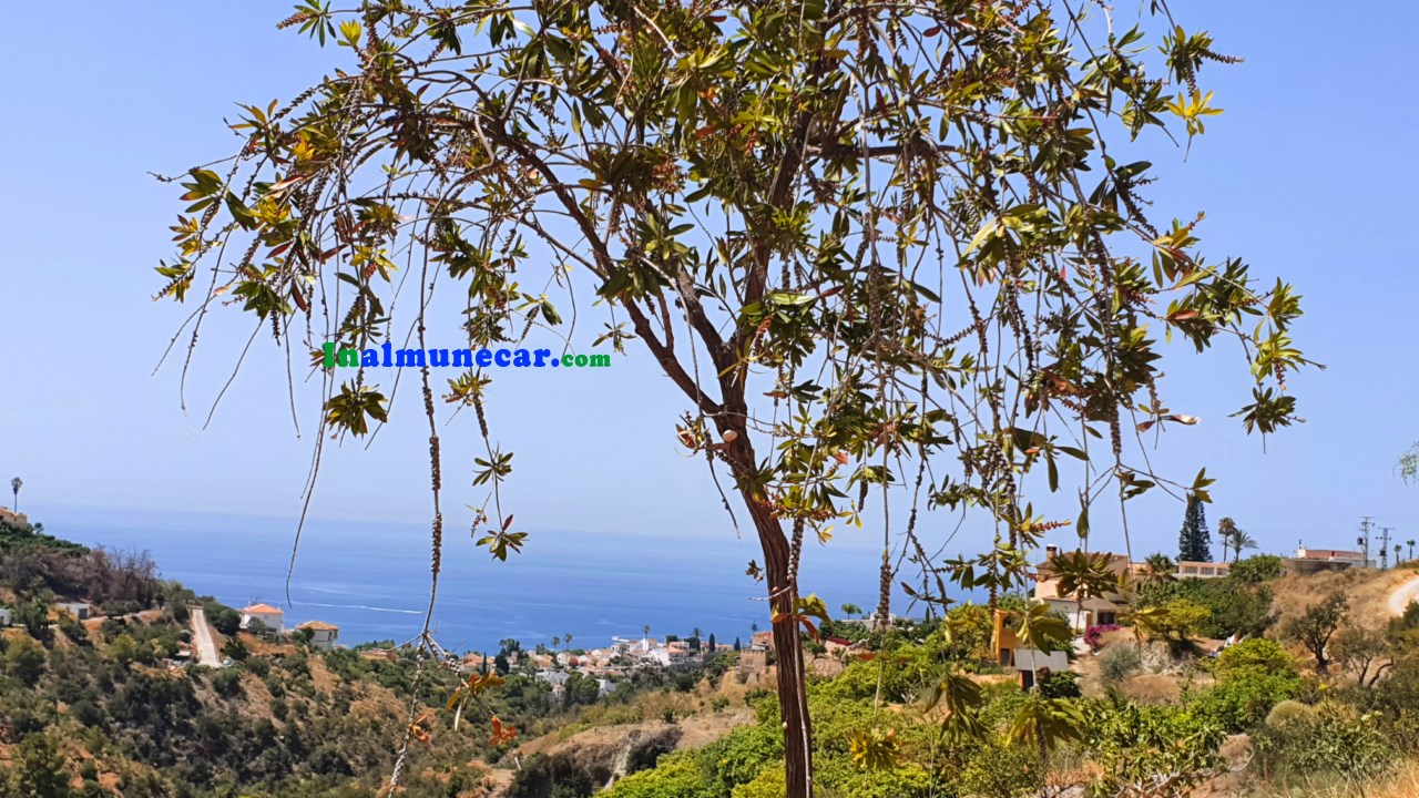 Country villa for sale located in the Bay of La Herradura, Costa Tropical, Andalusia.